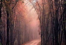 多古:C罗很聪明,他知道如何造点;我并没有拉他很长时间.